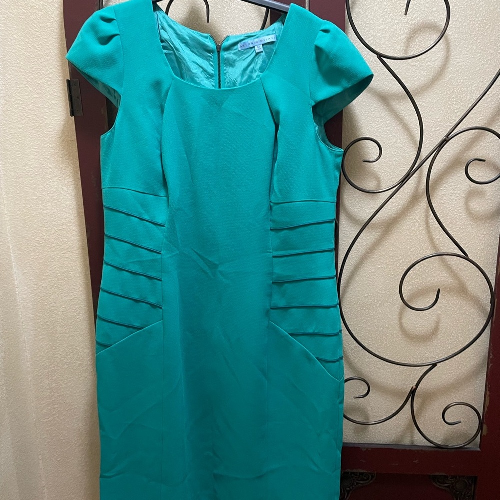 Gorgeous green Antonio Melani dress size 12